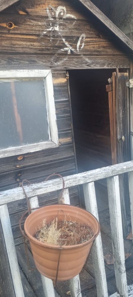 Casa de madeira em bom estado
