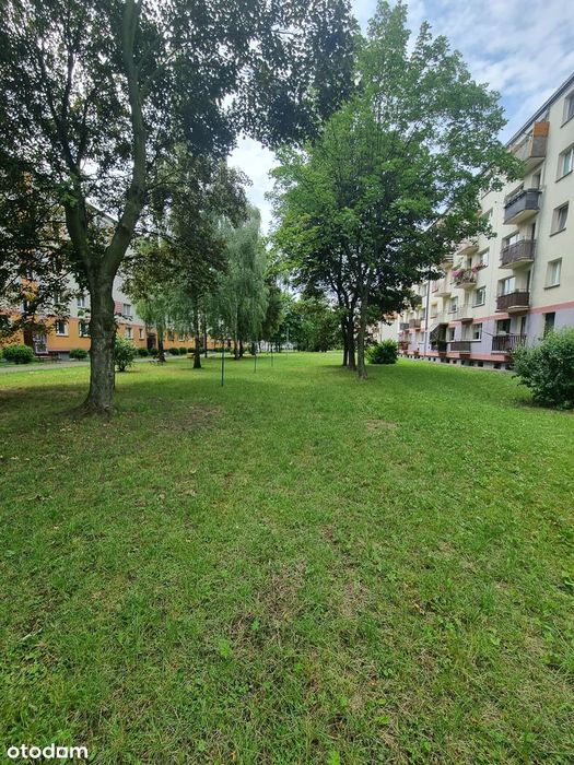 Mieszkanie 69m2 Końskie