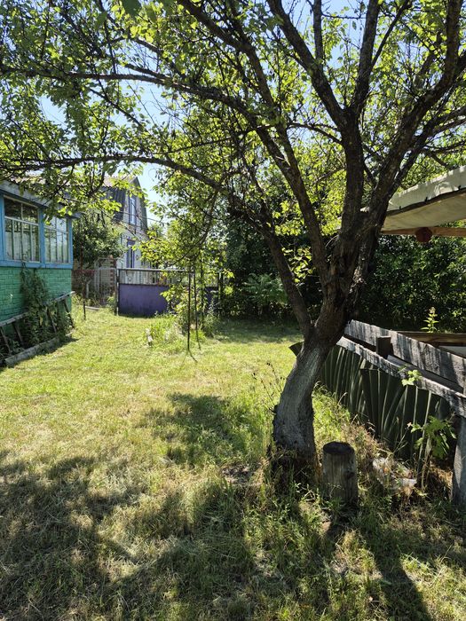 Дача.Березанка, с/т Снов'янка