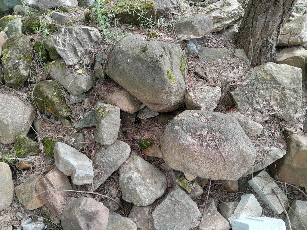 Kamienie na skalniak  i kamien do murowania