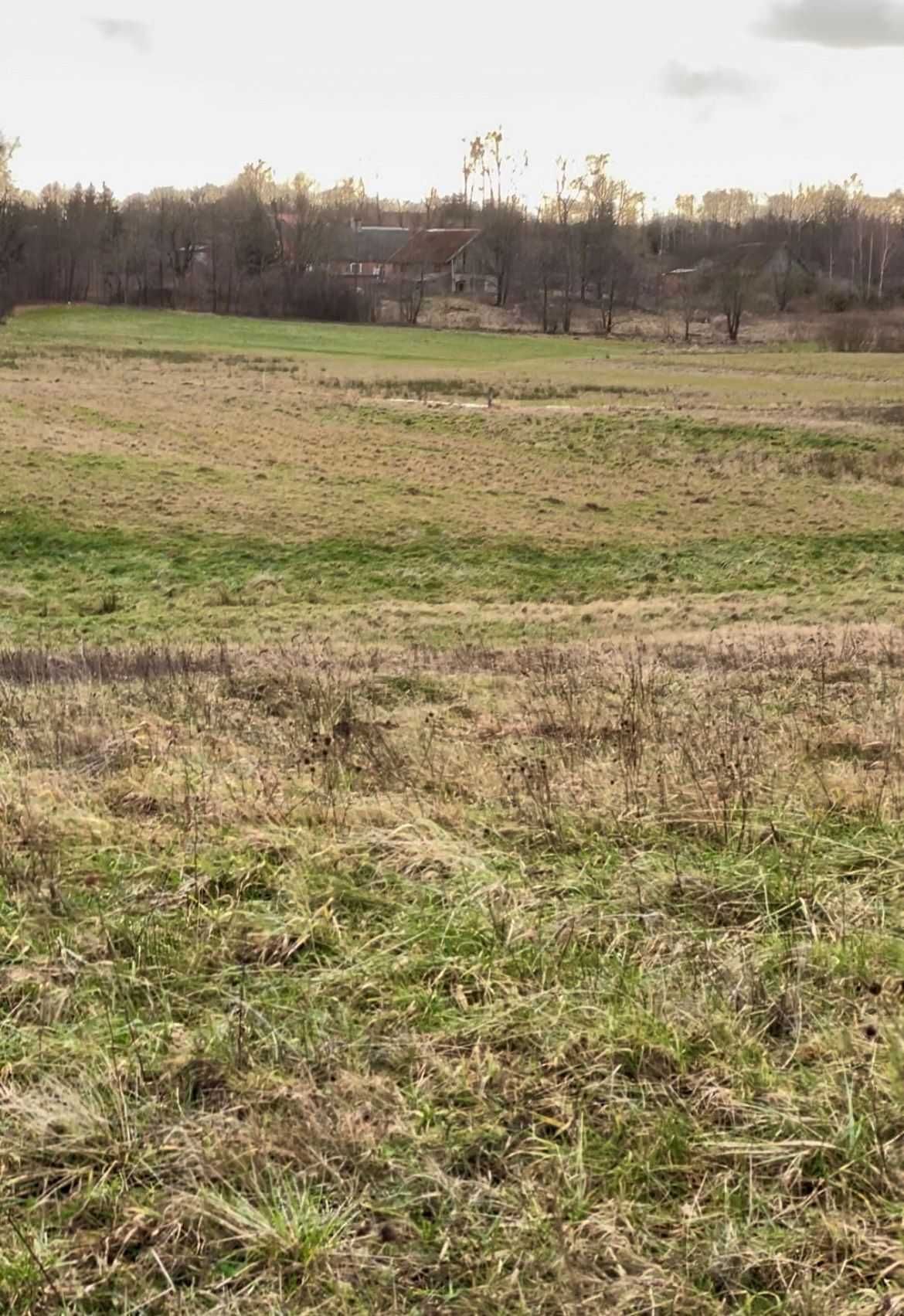 Działka budowlana WARUNKI  las jezioro siedlisko Mazury Warmia Kaszuby