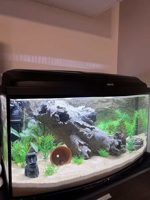 Aquario Panoramico completo pronto a funcionar