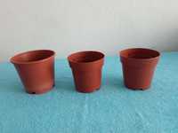 3 vasos para plantas de porte pequeno