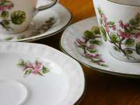 Zestaw niemieckiej porcelany wzór roślinny, filiżanki, talerzyki