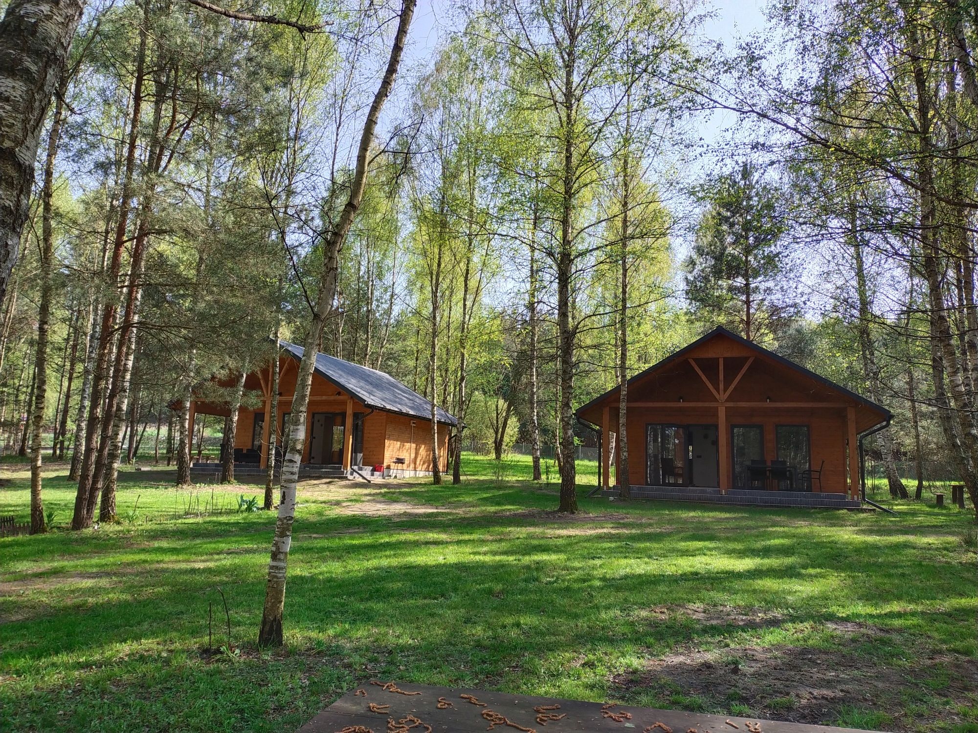 Domek Szumiąca Brzoza