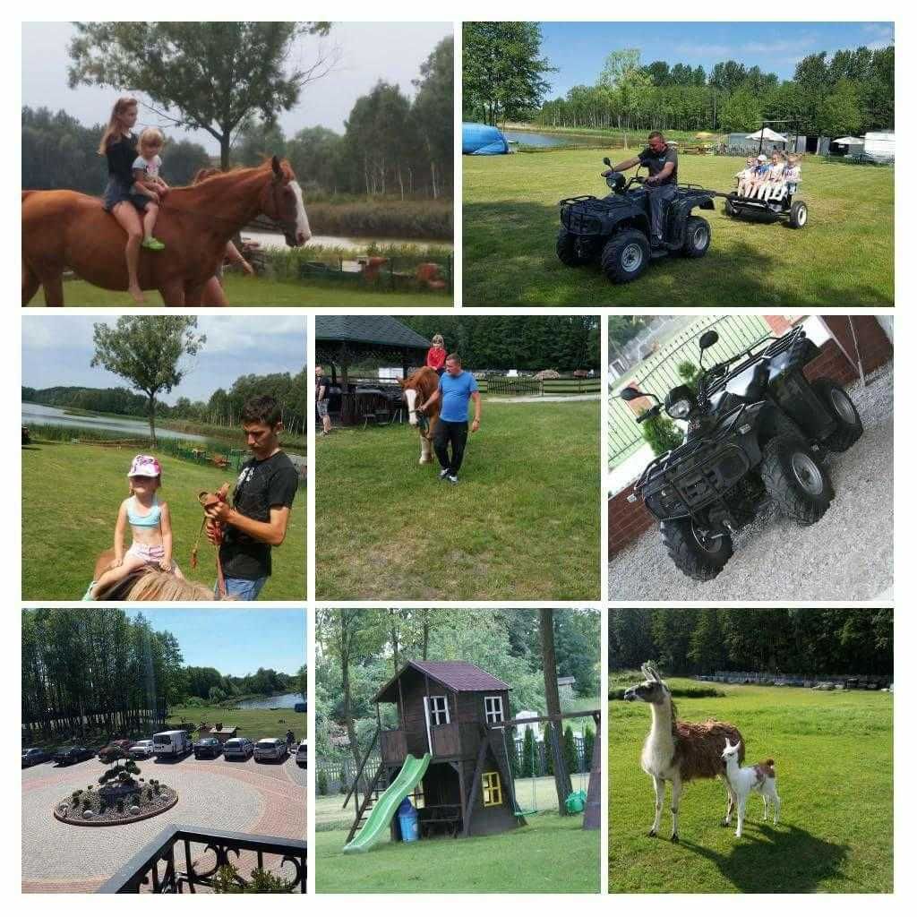 Mazury!!! Gospodarstwo Agroturystyczne Maryśka Małe leźno, mini zoo