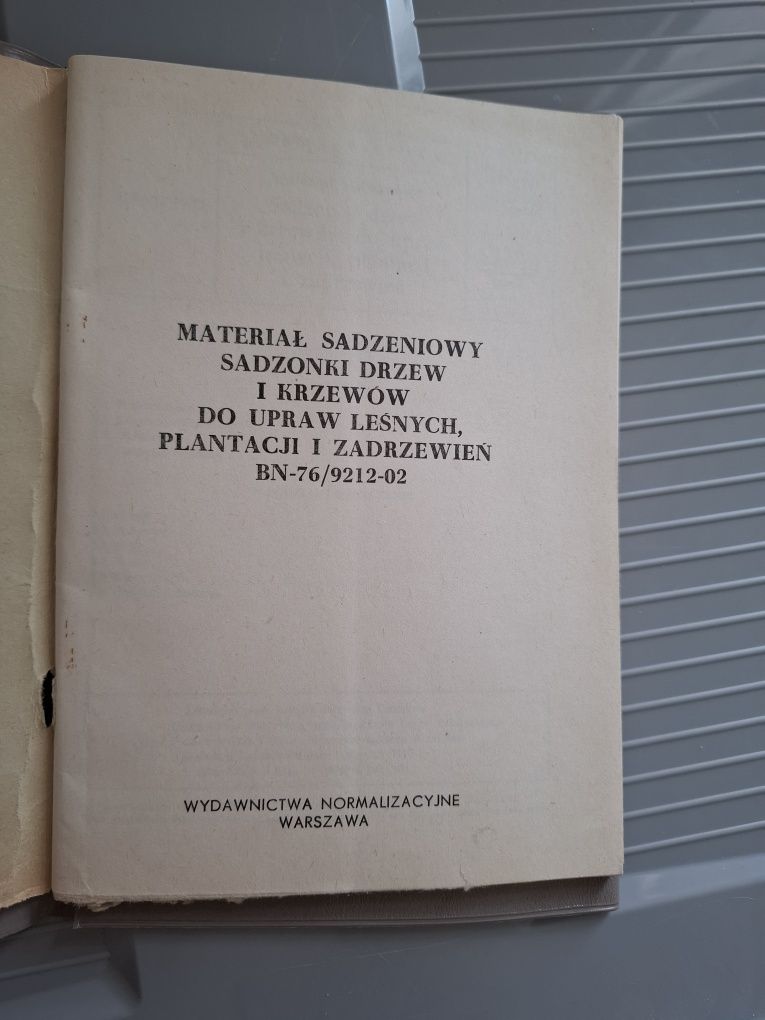 Materiał sadzeniowy sadzonki drzew I krzewów do upraw leśnych