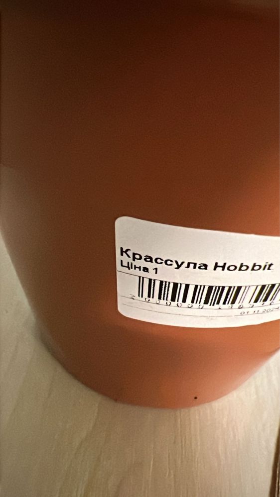 Крассула Hobbit(денежное дерево)