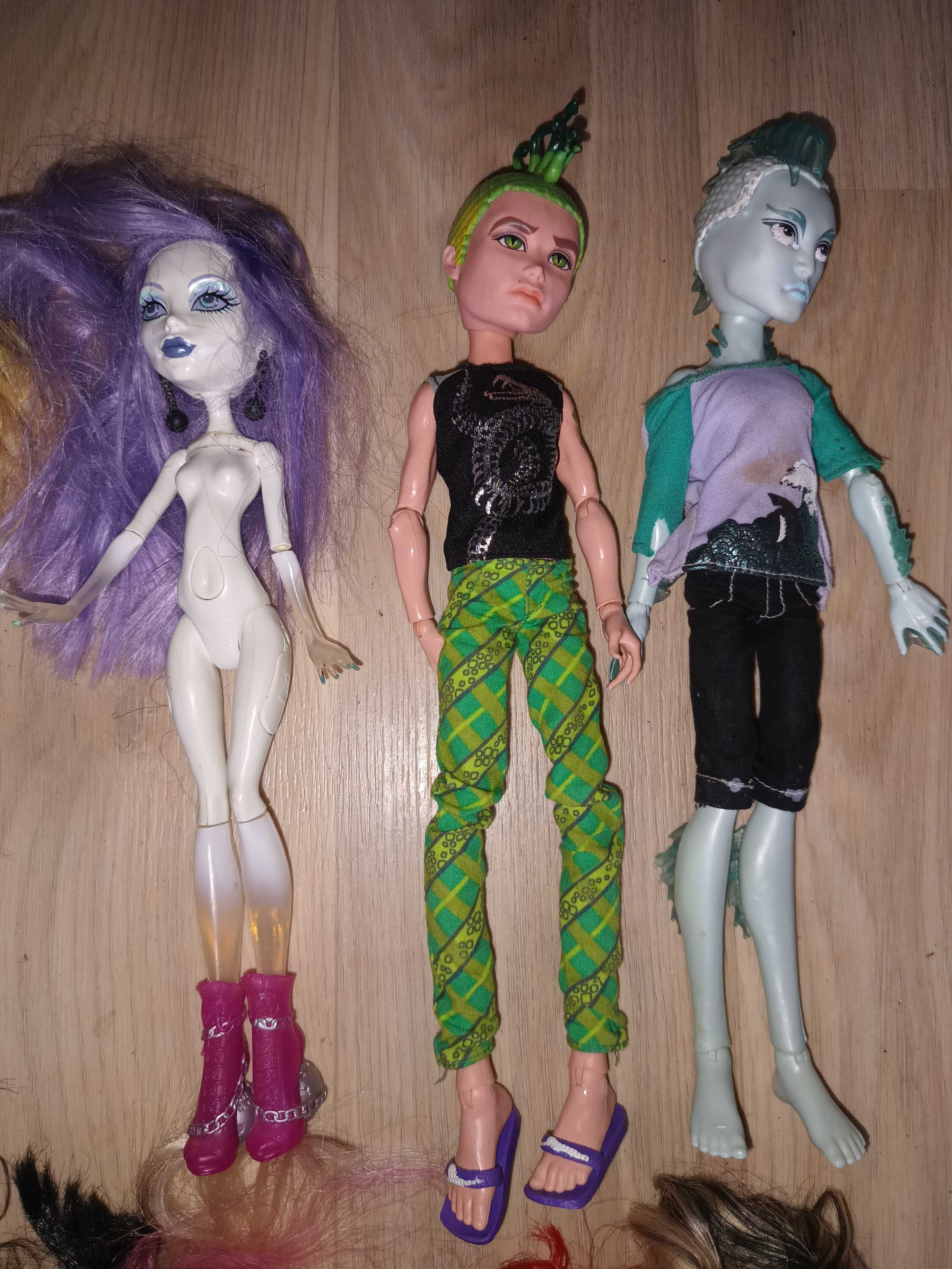 15 lalek Monster High.