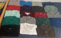 Polos varias  cores