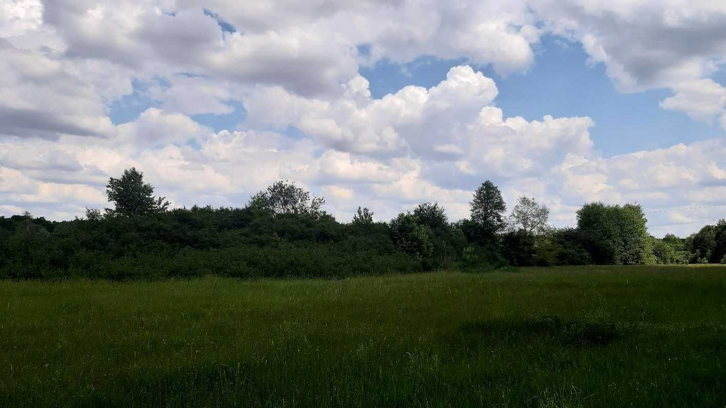 Земельні ділянки заг. пл. 4,0000 га під ОСГ Головурівський с/о