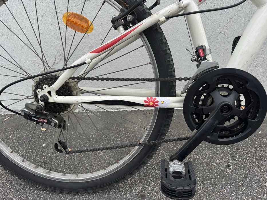 Bicicleta Adulto