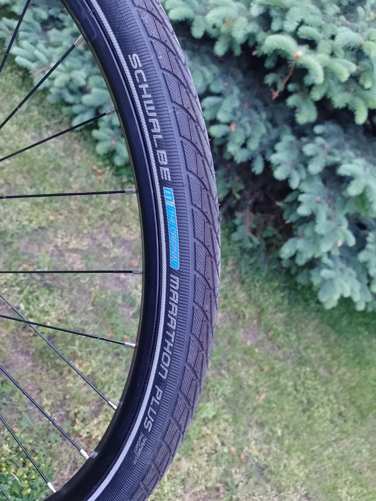 Rower męski diamant na pasku Nexus 8