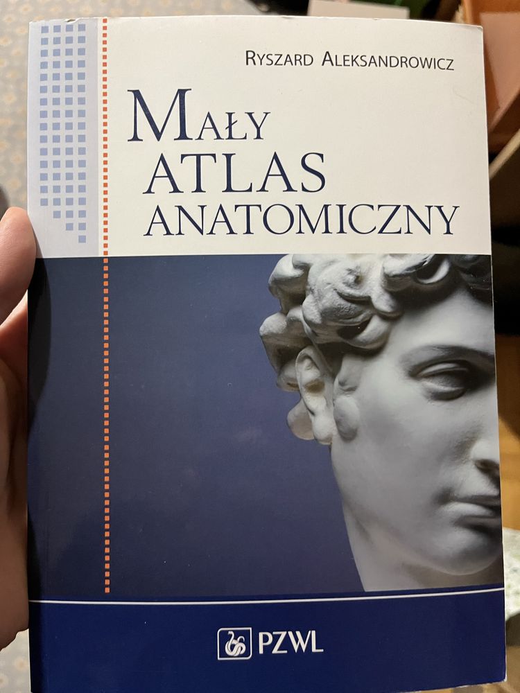 Szentagothai atlas anatomii uniwersytet medyczny i mały atlas