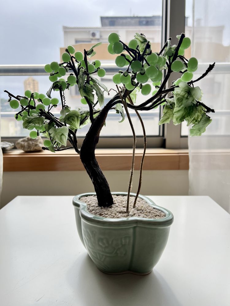 Bonsai de vidro com vaso cerâmica