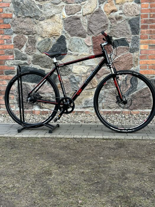 Rower crossowy Winiora Alfine 11