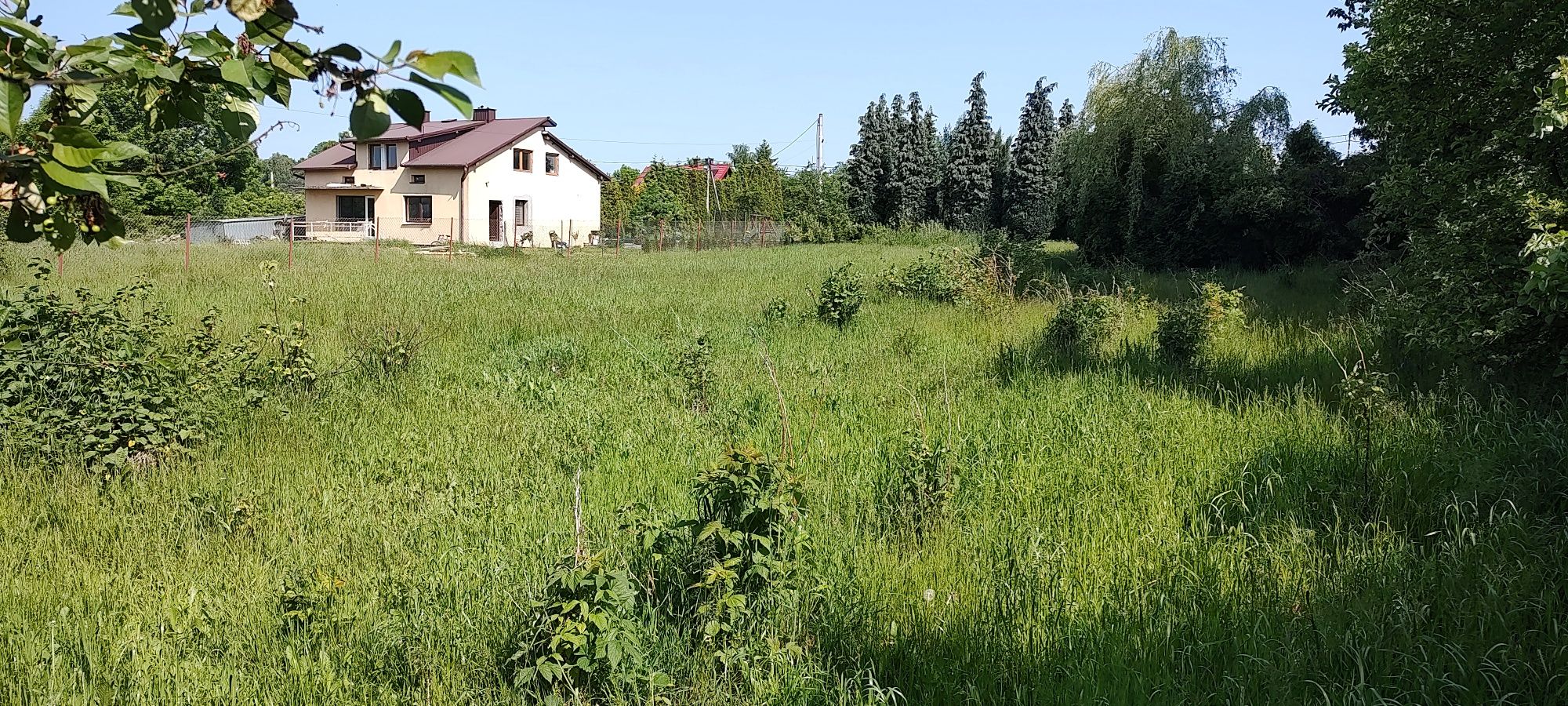 Koszenie trawy kosami spalinowymi, koszenie przydomowych trawników