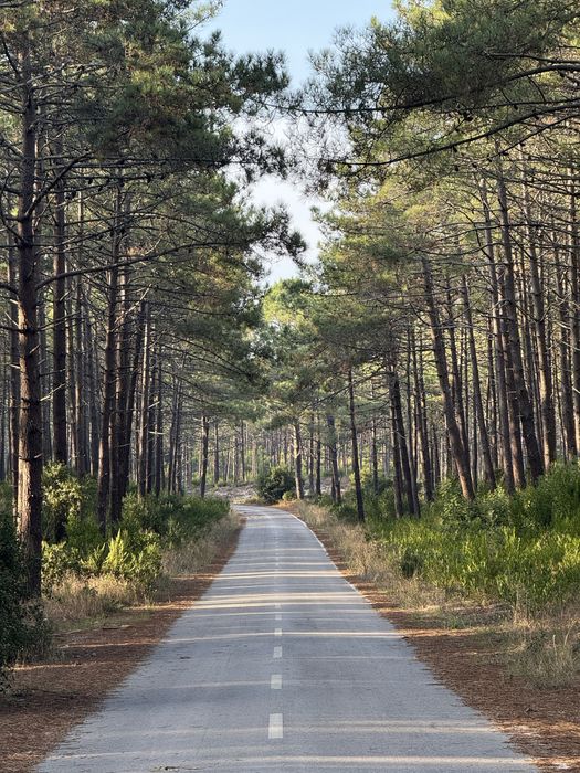 Vendo Wv t4 convertida em autocaravana