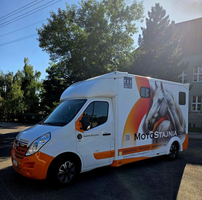 Transport koni z licencją