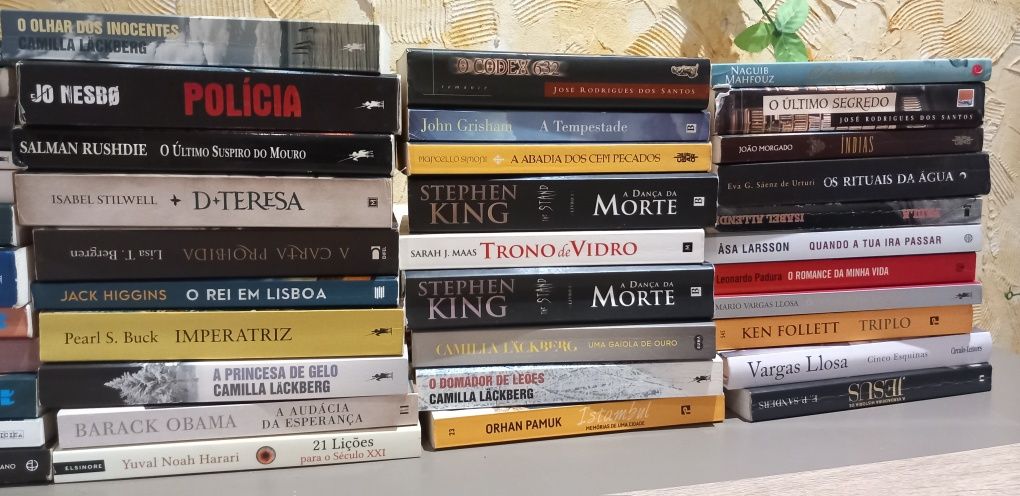Conjunto de livros