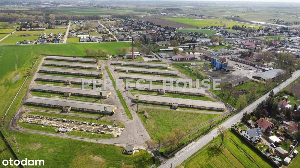Spółdzielnia rolcznicza 155 ha - pow. poznański