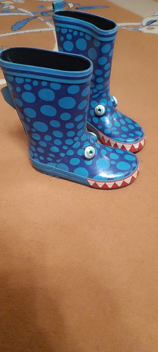 Чобітки дракончики