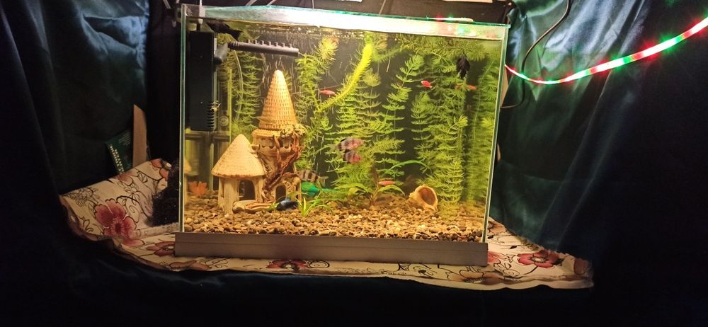 Акваріум 35 літрів