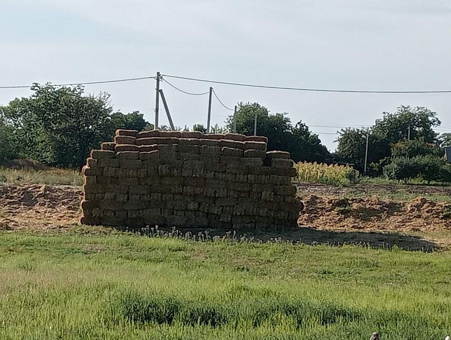 В продаже солома 15-17 кг тюк.пшеница.ячмень