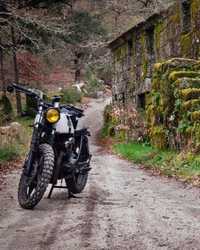 Cafe racer / scrambler suzuki GSX400f