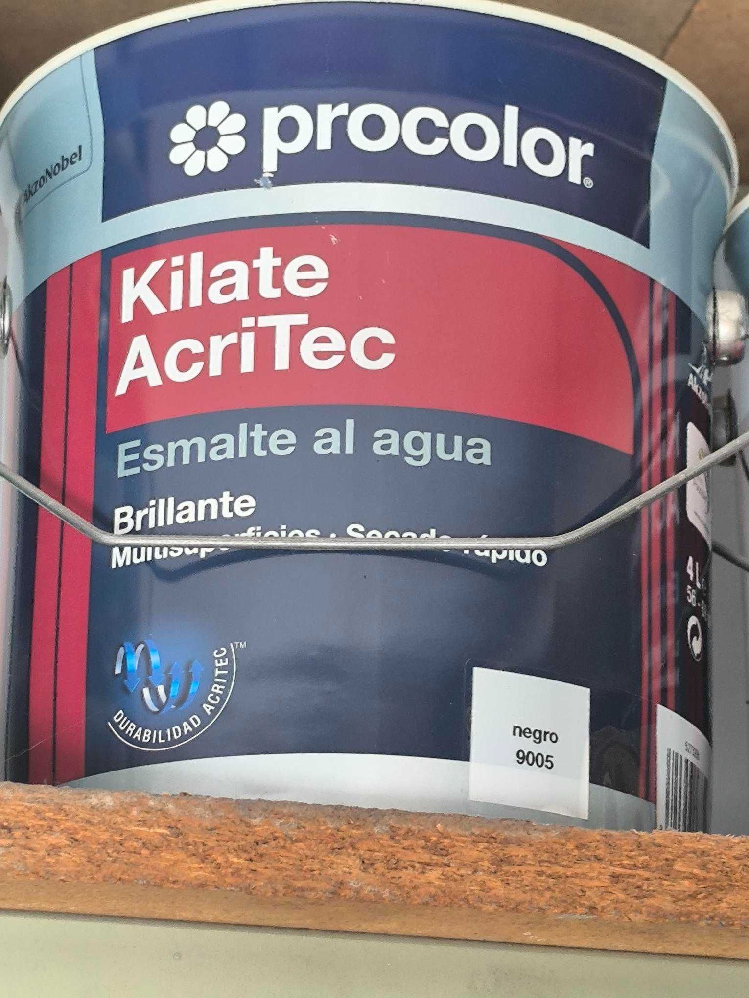 Vendo Esmalte Aquoso Brilhante Preto ou Branco 4lts