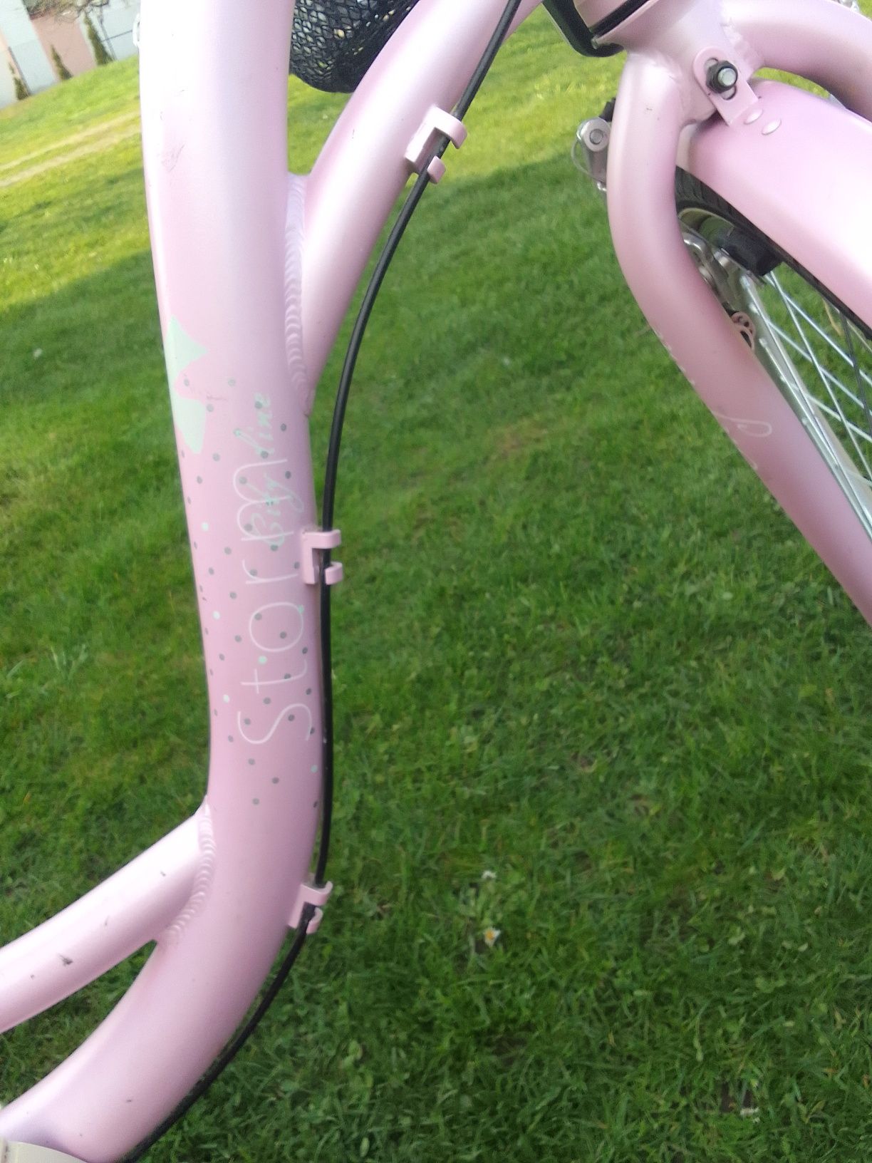 Rower damka różowy