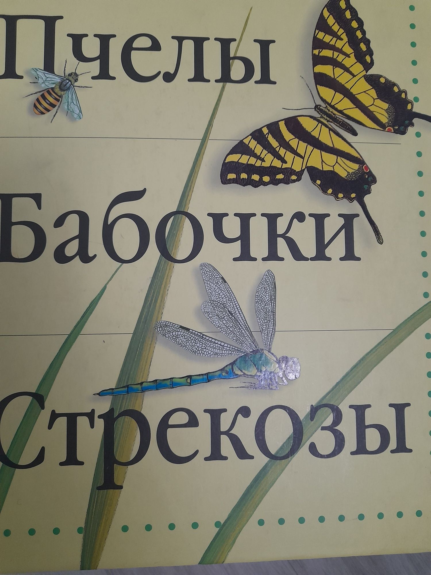 Новая книга Пчелы,бабочки стрекозы  цена 60гр