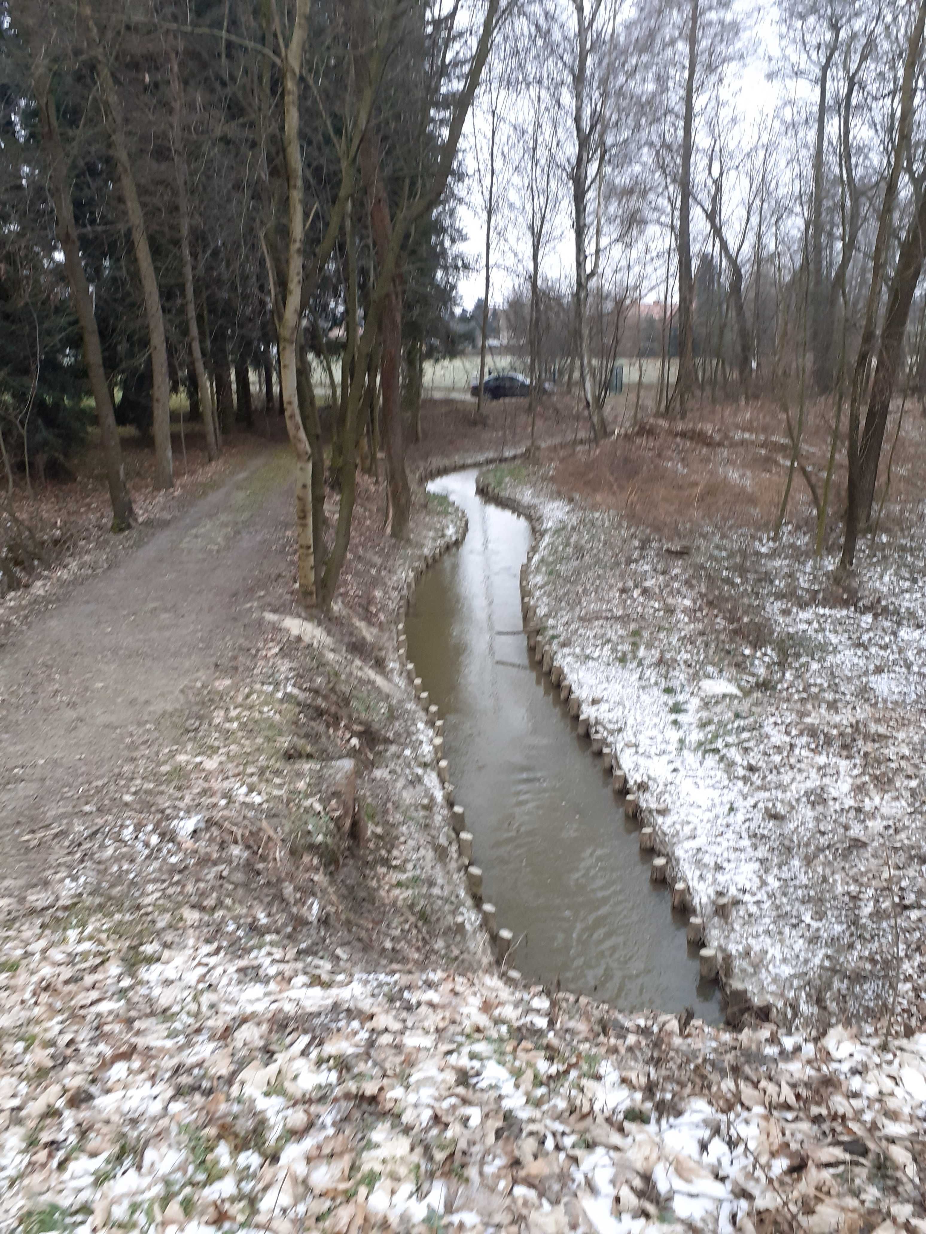 Budowa pomostów i kładek. Roboty w zakresie inż. wodnej i ochrony śr.