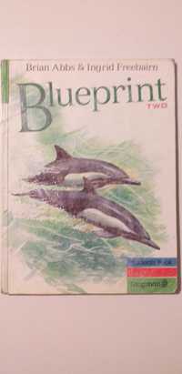 Blueprint 2, Student's Book, Longman