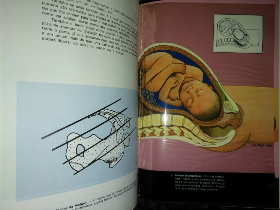 Colecção de Livros - Editora "Publicadora Atlântico S.A.R.L"