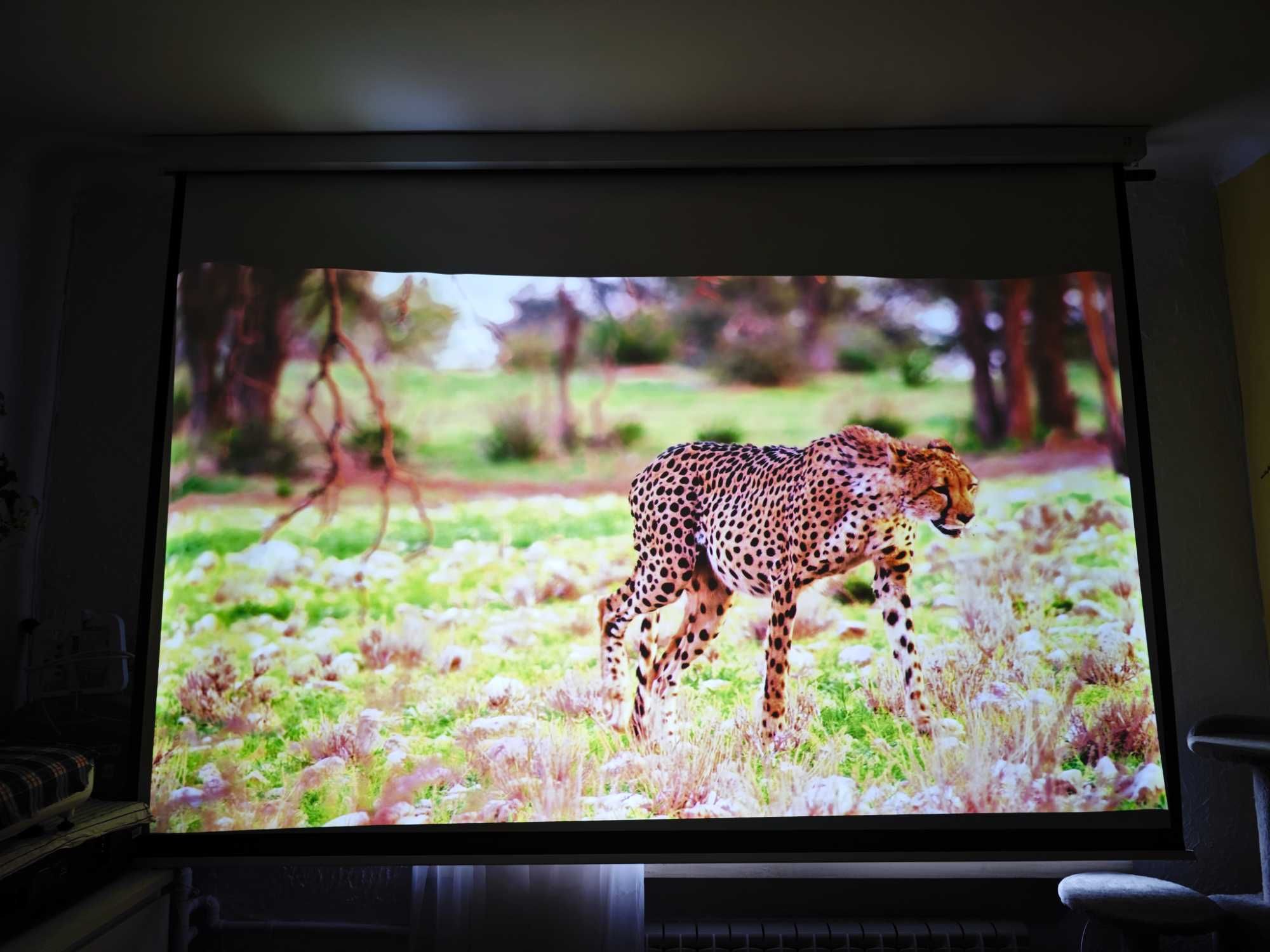 projektor UST full hd Dell S560 + ekran ellite screen