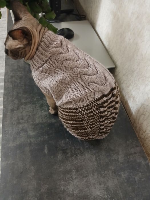 Продам одяг на сфінксів