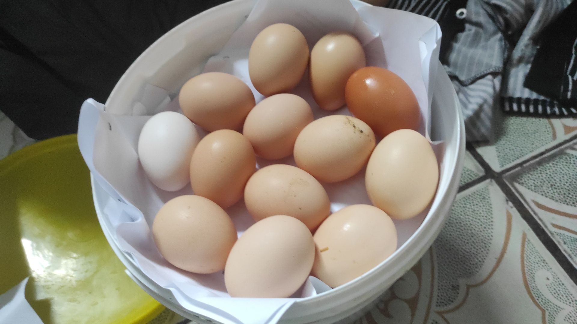 Продам домашні яйця.
