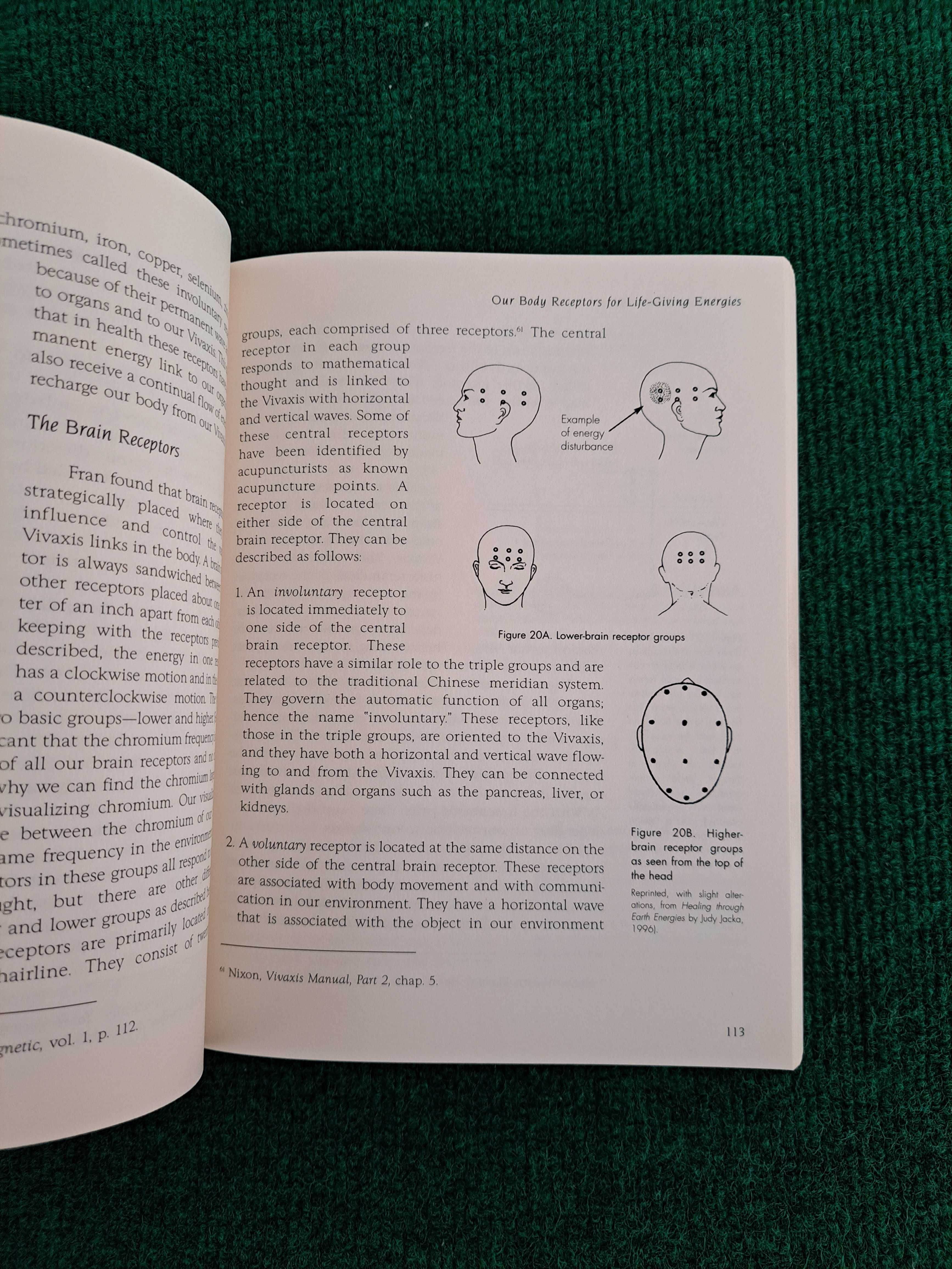 The Vivaxis Connection - Judy Jacka, N.D.