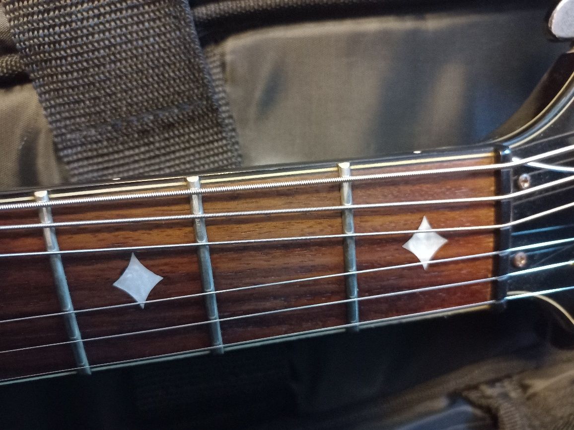Ibanez ART300 Caiman+pokrowiec Les Paul-Unikat