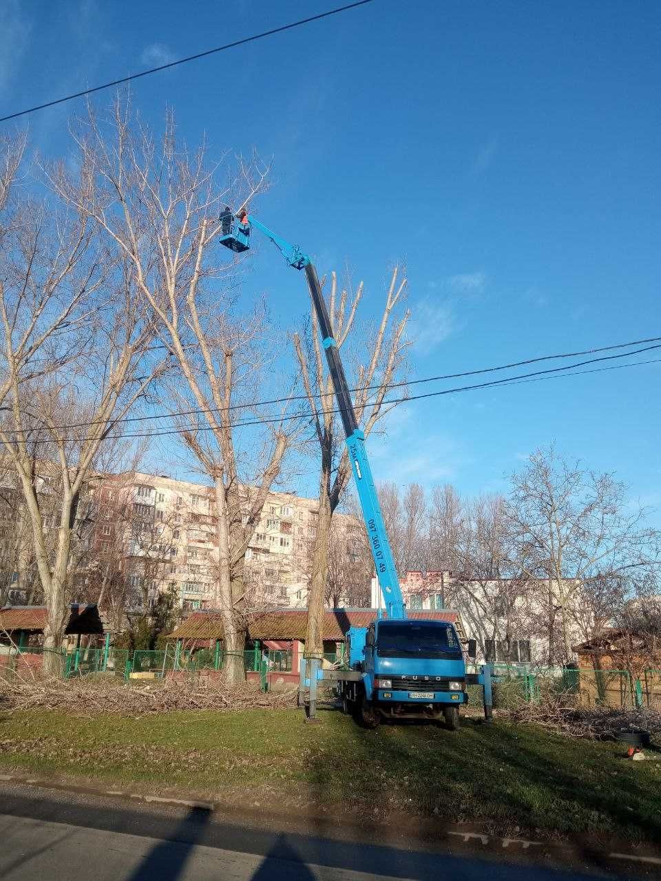 Спилим обрежем ветки и деревья любой сложности, аккуратно и недорого.