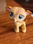 little pet shop #498
