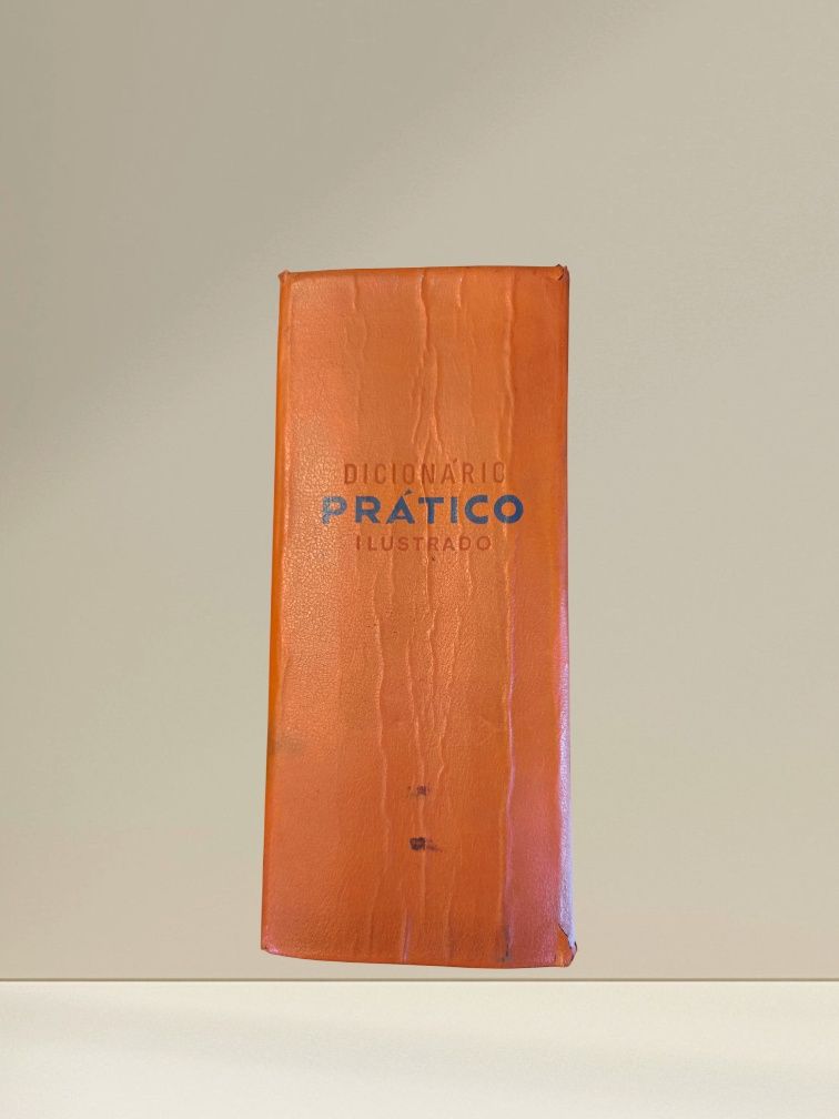 Dicionário Prático Ilustrado
