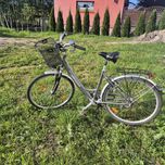 Rower damski wellnes