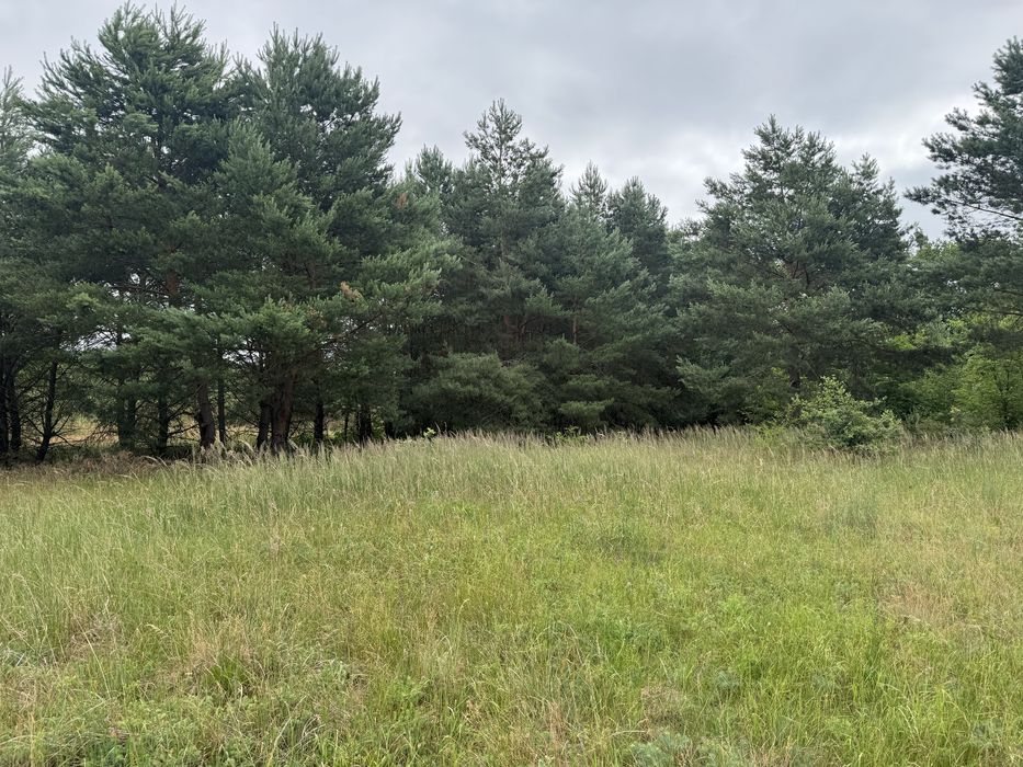 Piękna działka budowlana Nowe Biskupice 14,450 ara