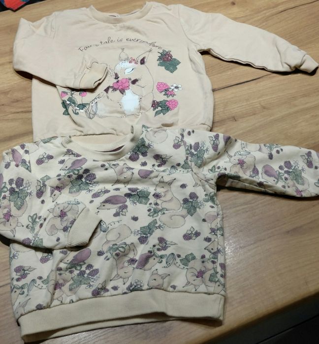 Zestaw bluz wiewiórki Pepco 2 szt r 92