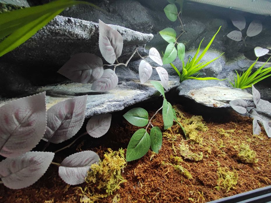 Terrarium tropikalne nr731 100/40/40 dla węża boa pyton NA ZAMÓWIENIE