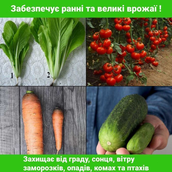 БОЛЬШОЙ УРОЖАЙ! Теплица, теплицы, Теплиця, Пленка и Поликарбонат