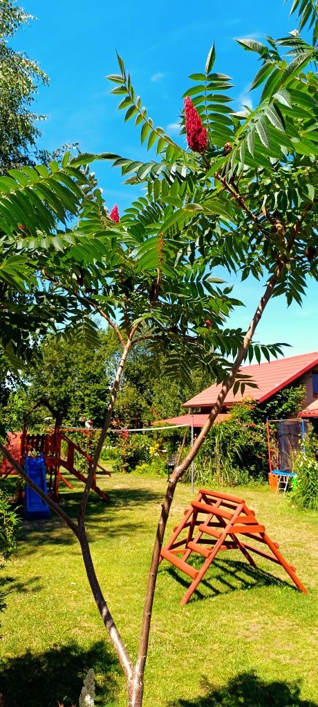 Domek z kominkiem,jezioro,sauna,jacuzzi
