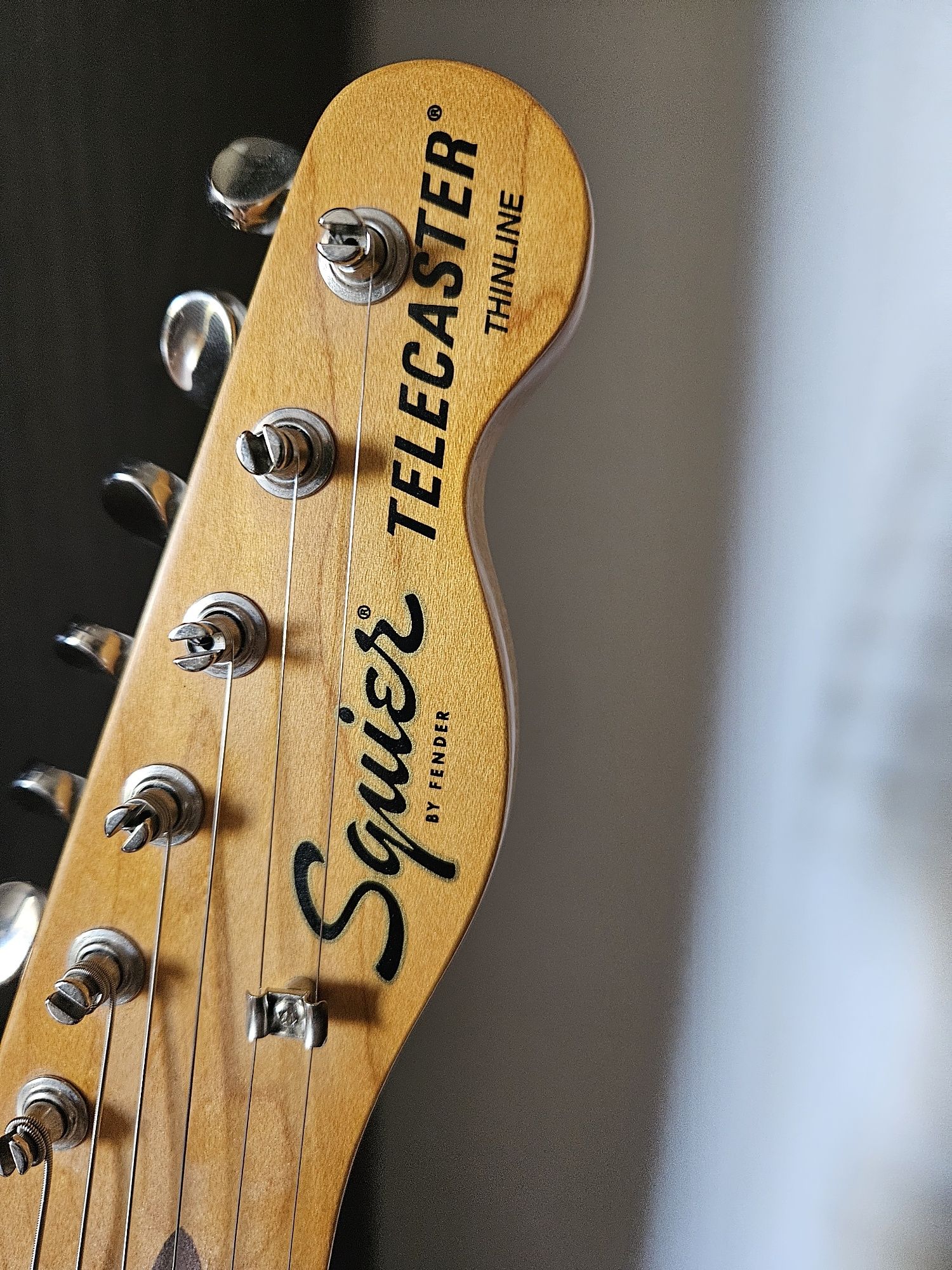 Fender squier telecaster thinline